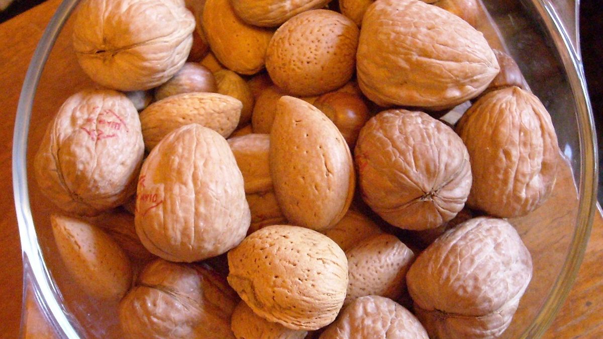 پروتئین: چقدر، چه زمانی، و از چه منابعی؟